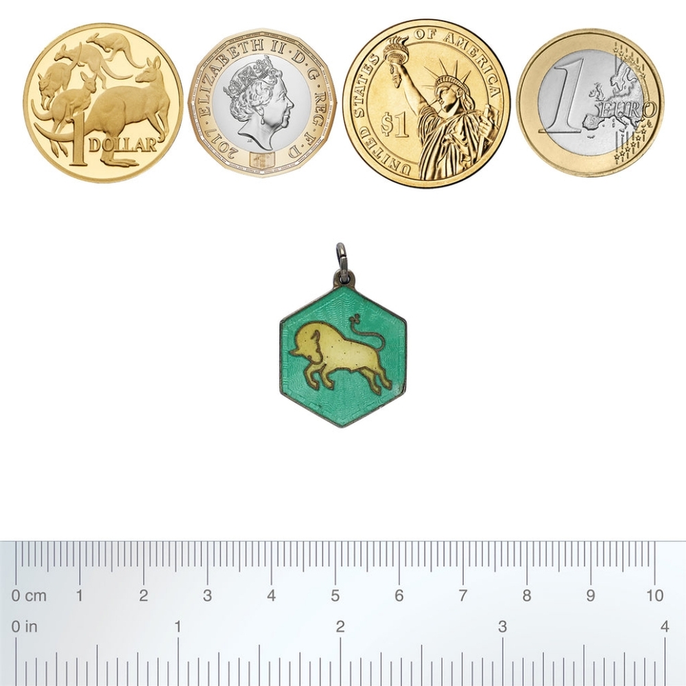 David Andersen taurus charm
